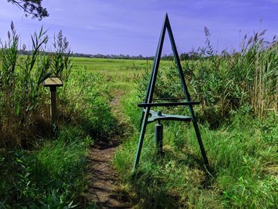 Art easel near tidal marsh.