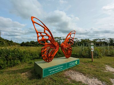 A large monarch butterfly statue sits at the end of a wildflower field.