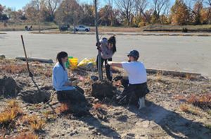 Volunteers plant a tree in Brunswick Park in Gary, Indiana.