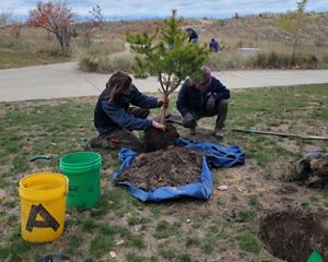 Volunteers plant a tree in Brunswick Park in Gary, Indiana.
