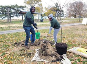 Volunteers plant a tree in Brunswick Park in Gary, Indiana.