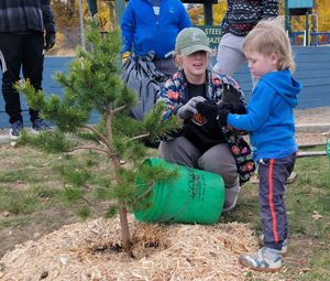 Volunteers plant a tree in Brunswick Park in Gary, Indiana.