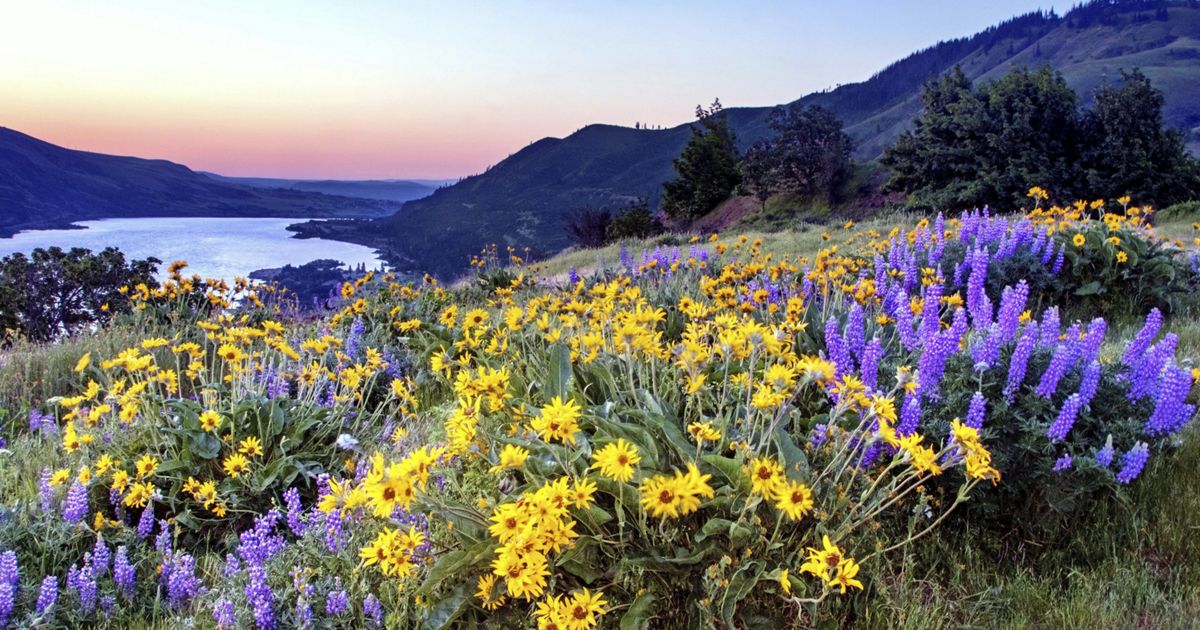 Oregon Recources The Nature Conservancy in Oregon