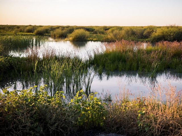 across Gayini's wetlands.