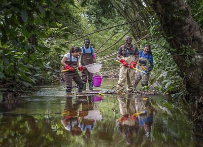 A group of scientists working in a river.