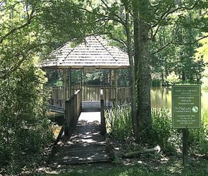 A wooden boardwalk leads to a gazebo overlooking a wetland.