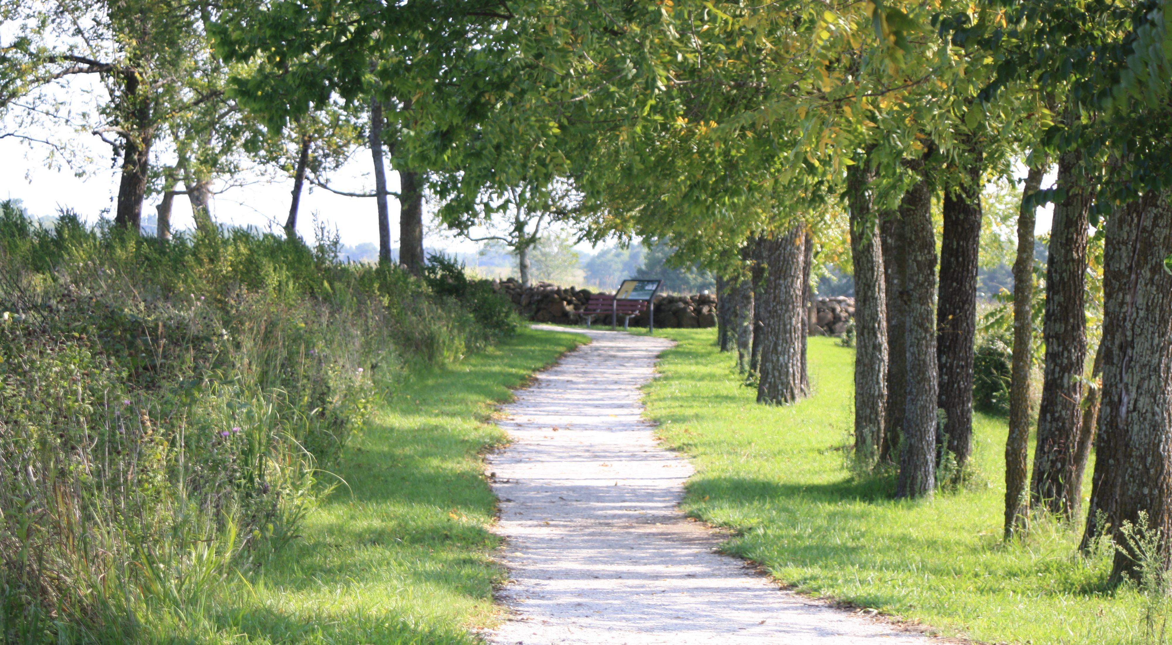 Un camino pavimentado serpentea a través de una arboleda y una pradera de hierba alta en el Monumento Nacional George Washington Carver en Missouri.