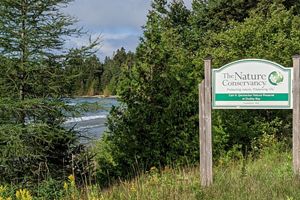The Nature Conservancy sign on the right. The area is now overcome by plant life. 