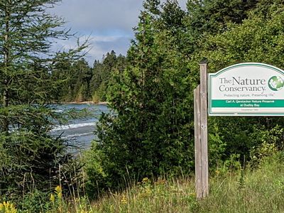 The Nature Conservancy sign on the right. The area is now overcome by plant life.