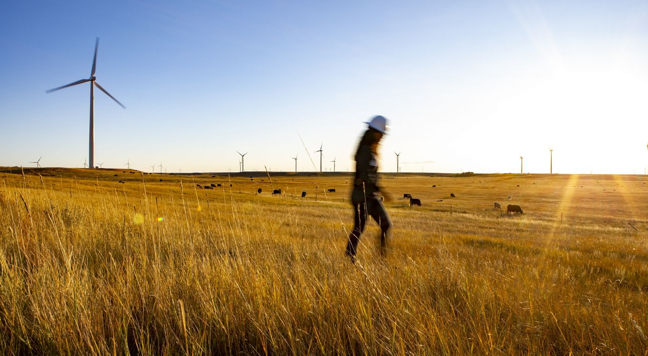 Person walks at sunset through wind farm.