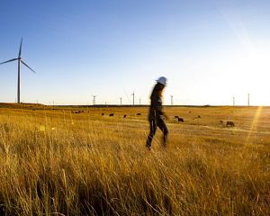 Work in front of wind energy.