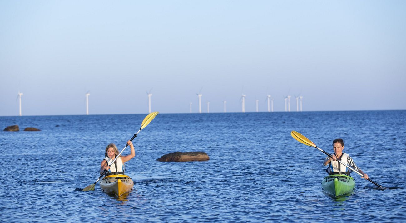 People kayaking in the ocean with wind turbines behind them.