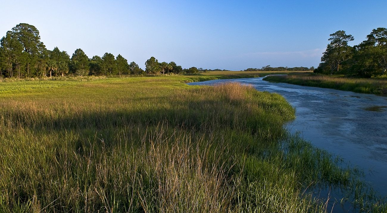 A tidal river bordered by thick marsh grasses.
