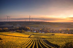 Agricultural fields and wind turbines in the sunset.