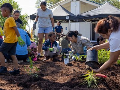 A group of adults and youths plant green seedlings in fresh dirt.