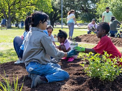 Adults and youths plant green plants in mounds of brown dirt in a park.