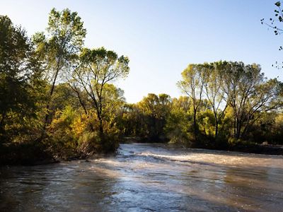 A river with trees on either side with slanted sunlight passing through.