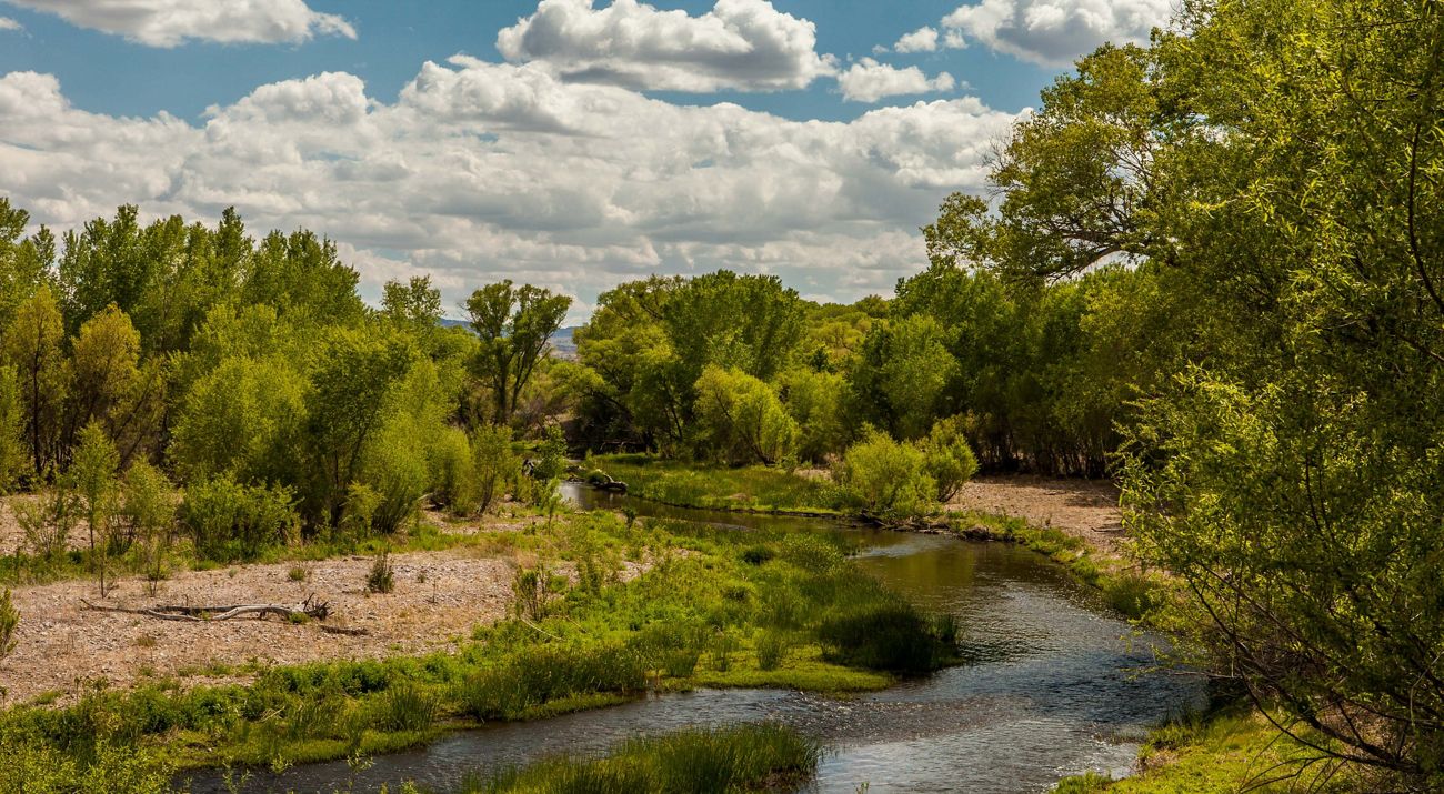 Scenic landscape photo of the Gila River Preserve.