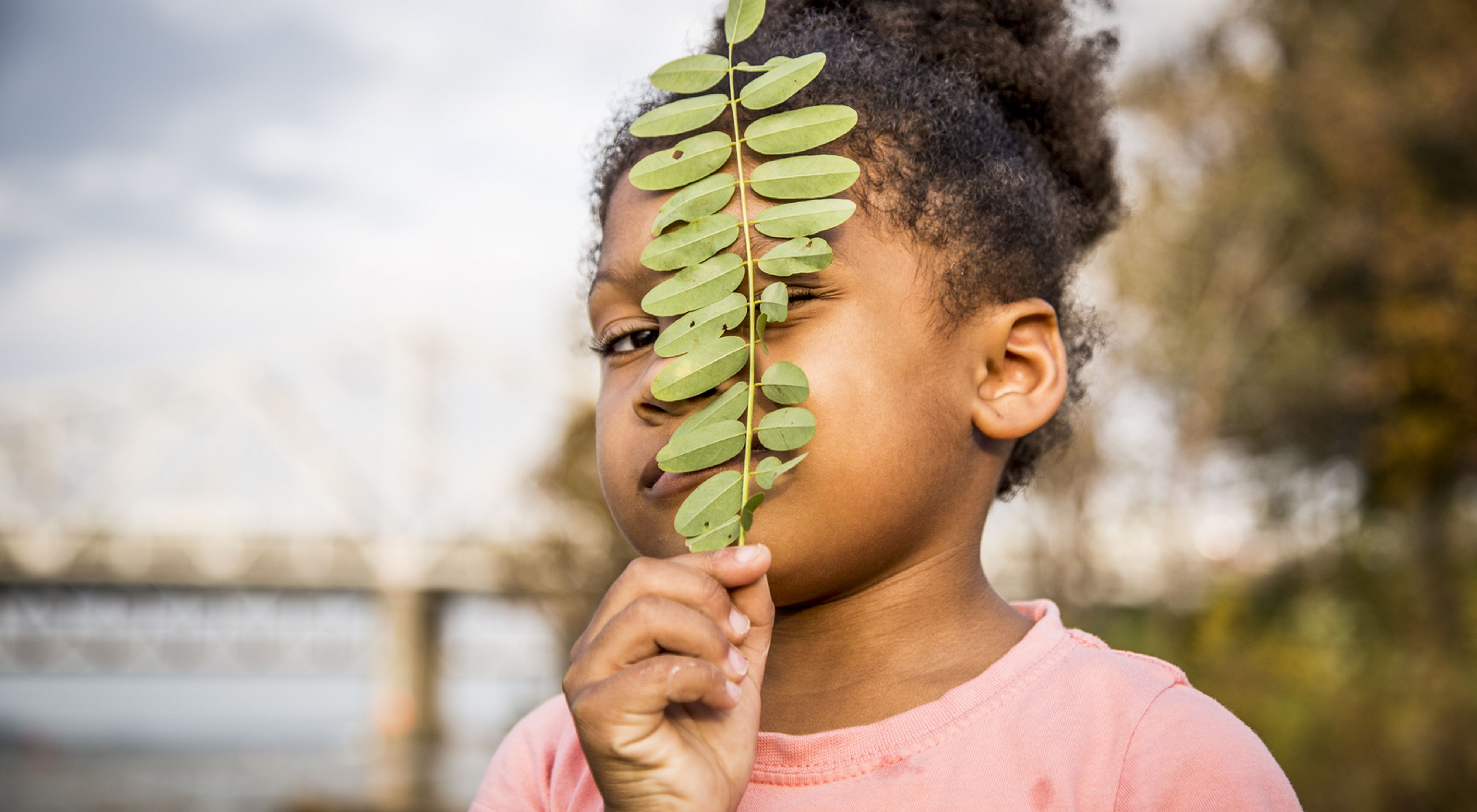 Young girl looks through a sprig of leaves.