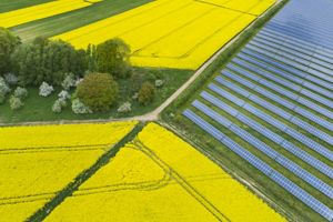 Aerial view showing a field containing rows of solar panels at right, with bright yellow canola fields adjacent in the upper center and lower left corner of the image.