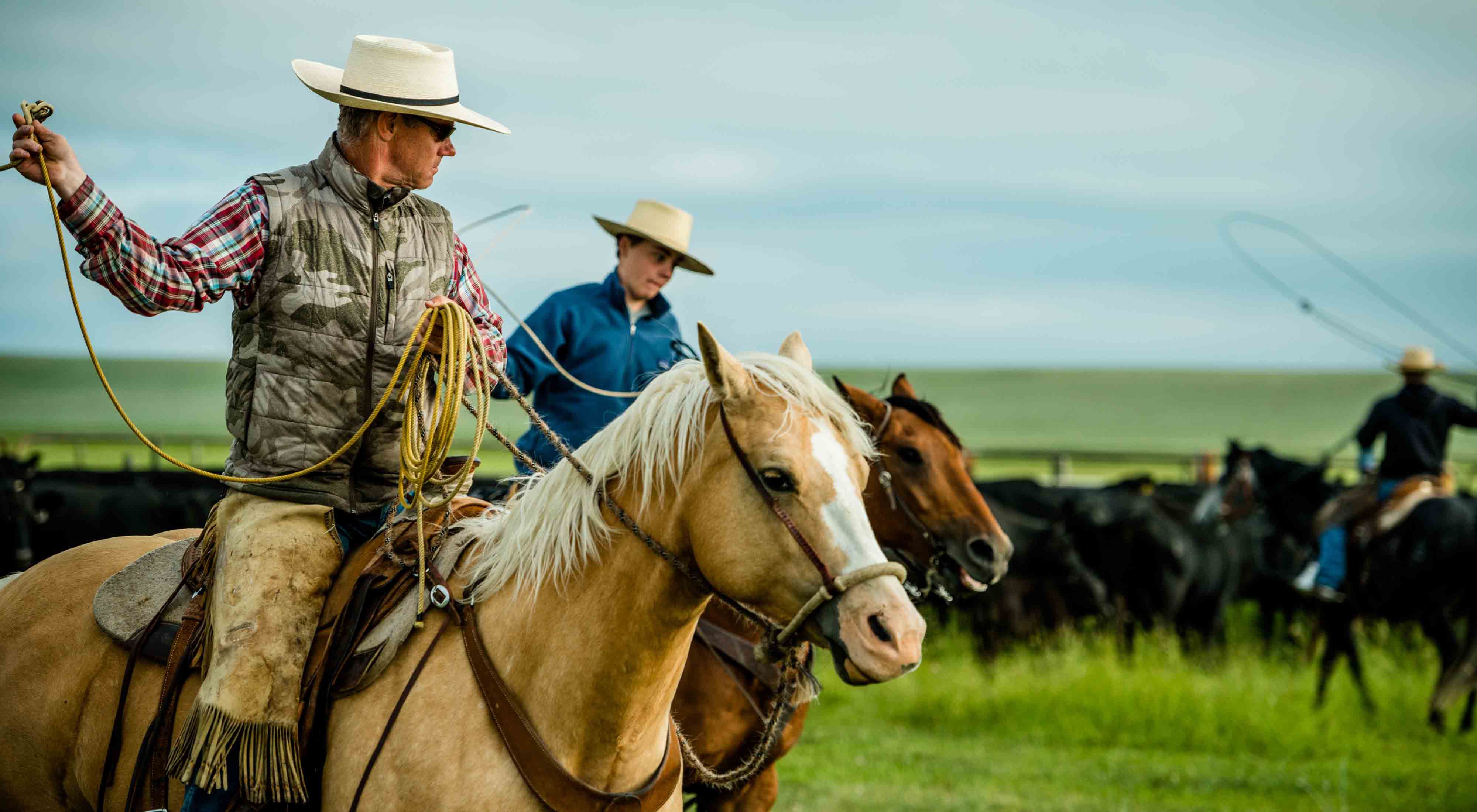 Two men on horseback herding cattle.