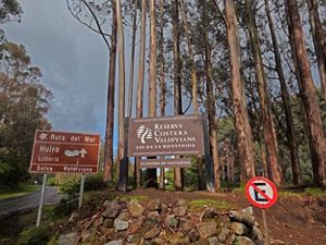 Señalética Reserva Costera Valdiviana en Chaihuín. 