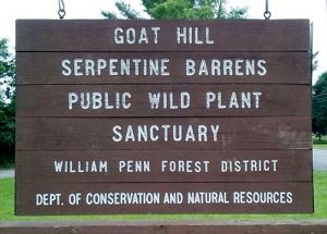 A wooden sign reading, Goat Hill Serpentine Barrens Public Wild Plant Sanctuary William Penn Forest District Dept. of Conservation and Natural Resources, welcomes visitors to the preserve.