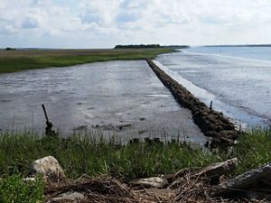 An area of marsh land flooded by the erosion of boats and heavy waves alongside the shore of the ocean.