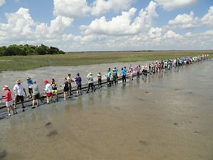 Group of people in a line on the coast. 