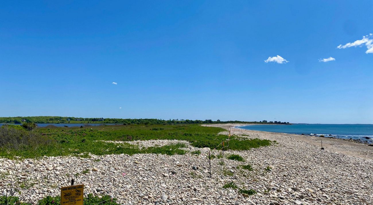 A narrow gravelly beach stretches to the horizon with vegetated dunes to the left and the ocean to the right.