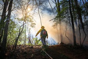 A controlled burned in the Greenville watershed.