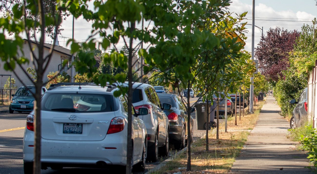 A row of cars parked along a city street lined with small trees.