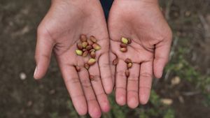 Saving the Gran Chaco