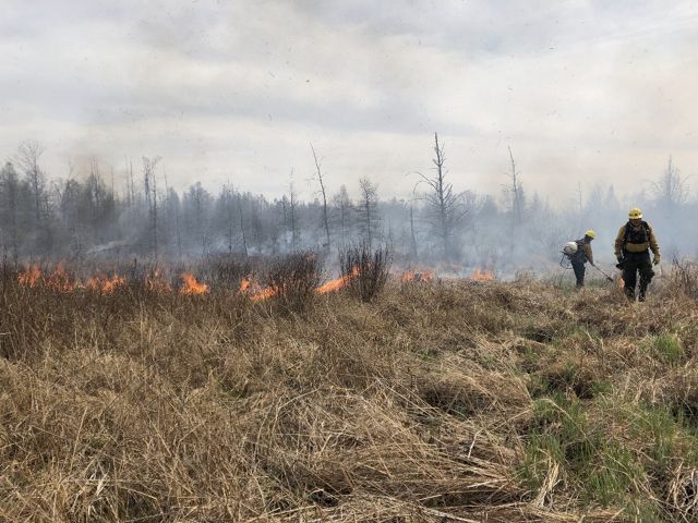 Two workers in protective gear walk alongside a prescribed fire at the Grand River Fen Preserve in Michigan.