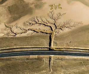 Aerial view of gullies that spread out in the shape of a tree, bisected by a highway.