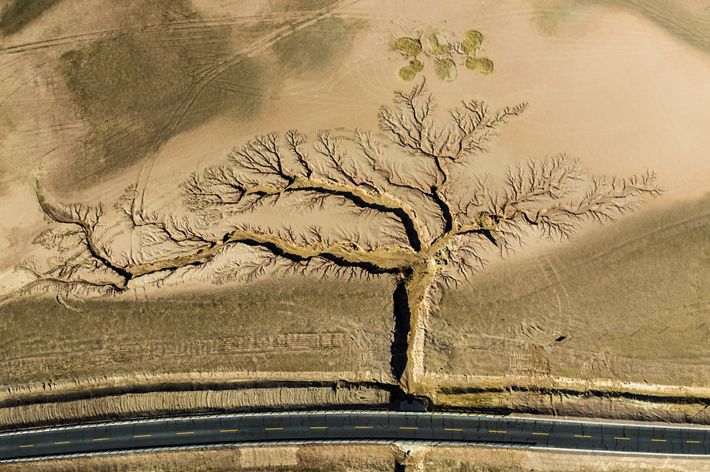 On either side of a highway, gullies formed by rainwater erosion span out like a tree in Tibet, an autonomous region in southwest China.