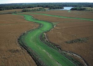 An agricultural field with a river and forest in the background.