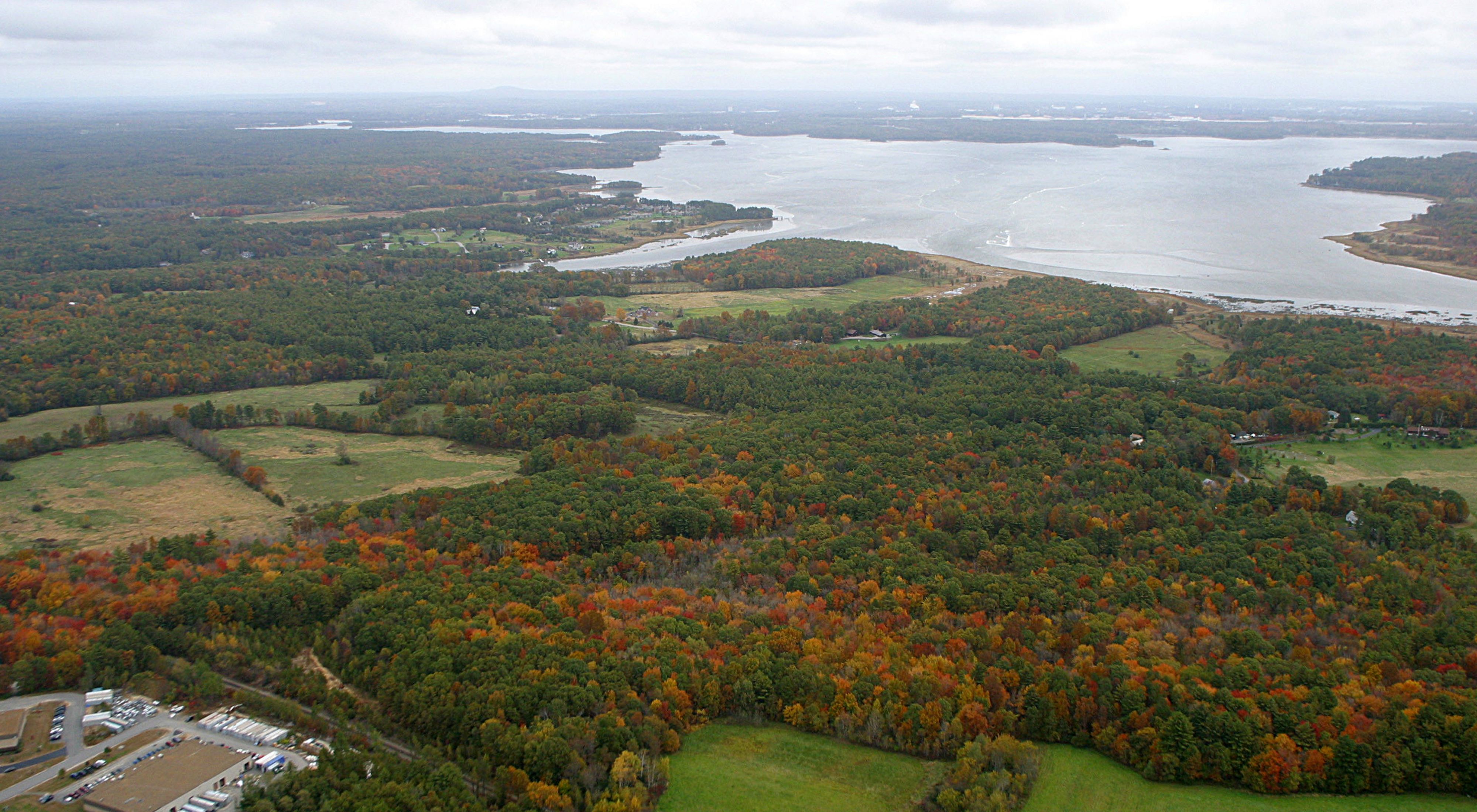 View from a plane looking out over an estuary in the background with trees just starting to show fall colors in the foreground. 