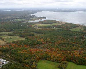 View from a plane looking out over an estuary in the background with trees just starting to show fall colors in the foreground.