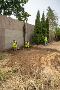 Two men stand in knee deep holes, preparing them to receive newly planted trees.