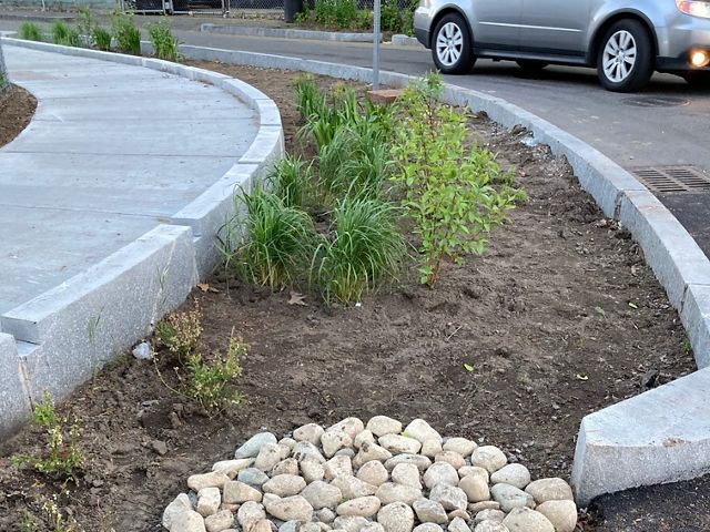 A strip containing dirt, rocks and plants runs between a roadway and a sidewalk.