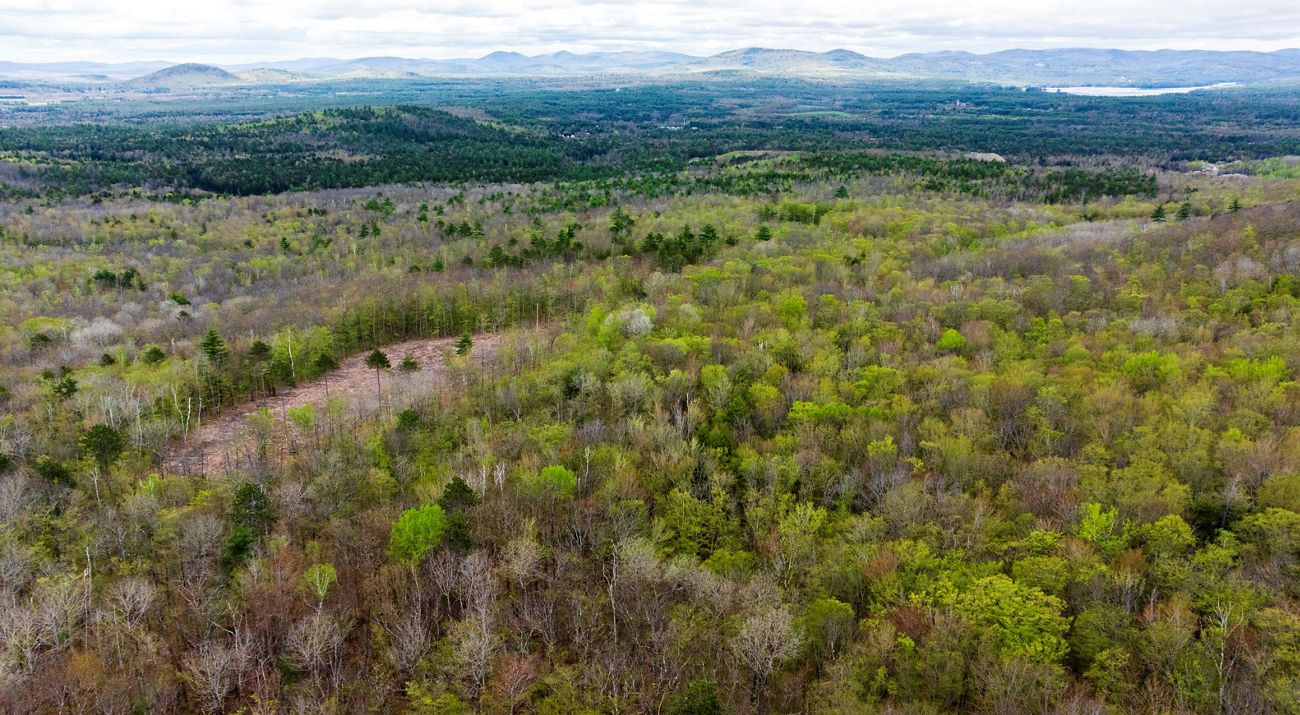 An aerial view of a forested landscape with a mountain range in the background.