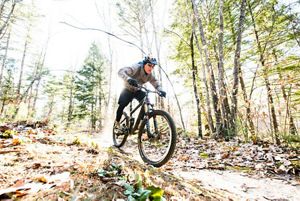 A mountain biker on a trail in the woods.