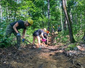 People in hard hats and hand tools working on a trail in the forest.