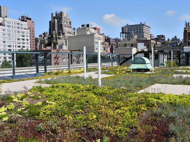 green roofs can lessen the negative impacts of stormwater on local waterways, reduce street flooding, improve air quality and much more.