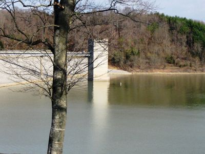 A concrete dam sits on a river behind a tree.