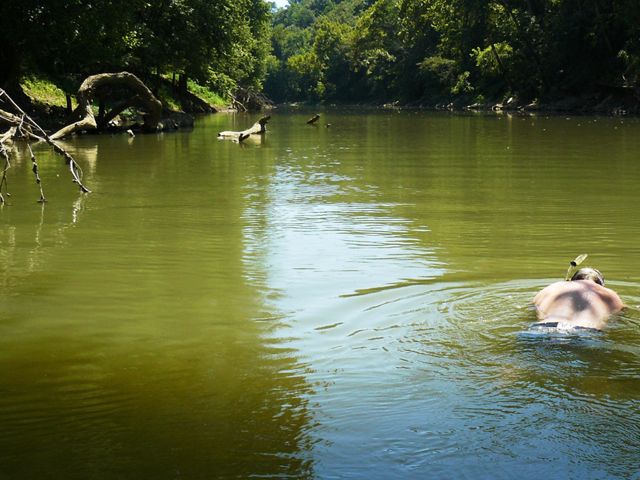 A snorkeler swims in the Green River.