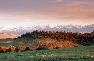 Greybull River Basin