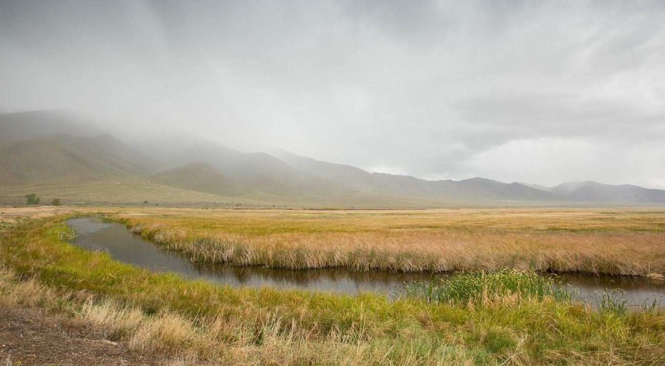 A narrow stream winds through golden marsh grasses at Ruby Lake National Wildlife Refuge.