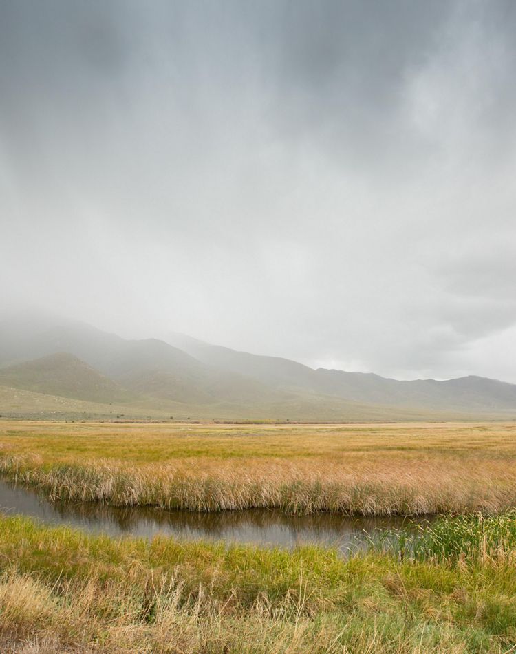 Ruby Lake National Wildlife Refuge